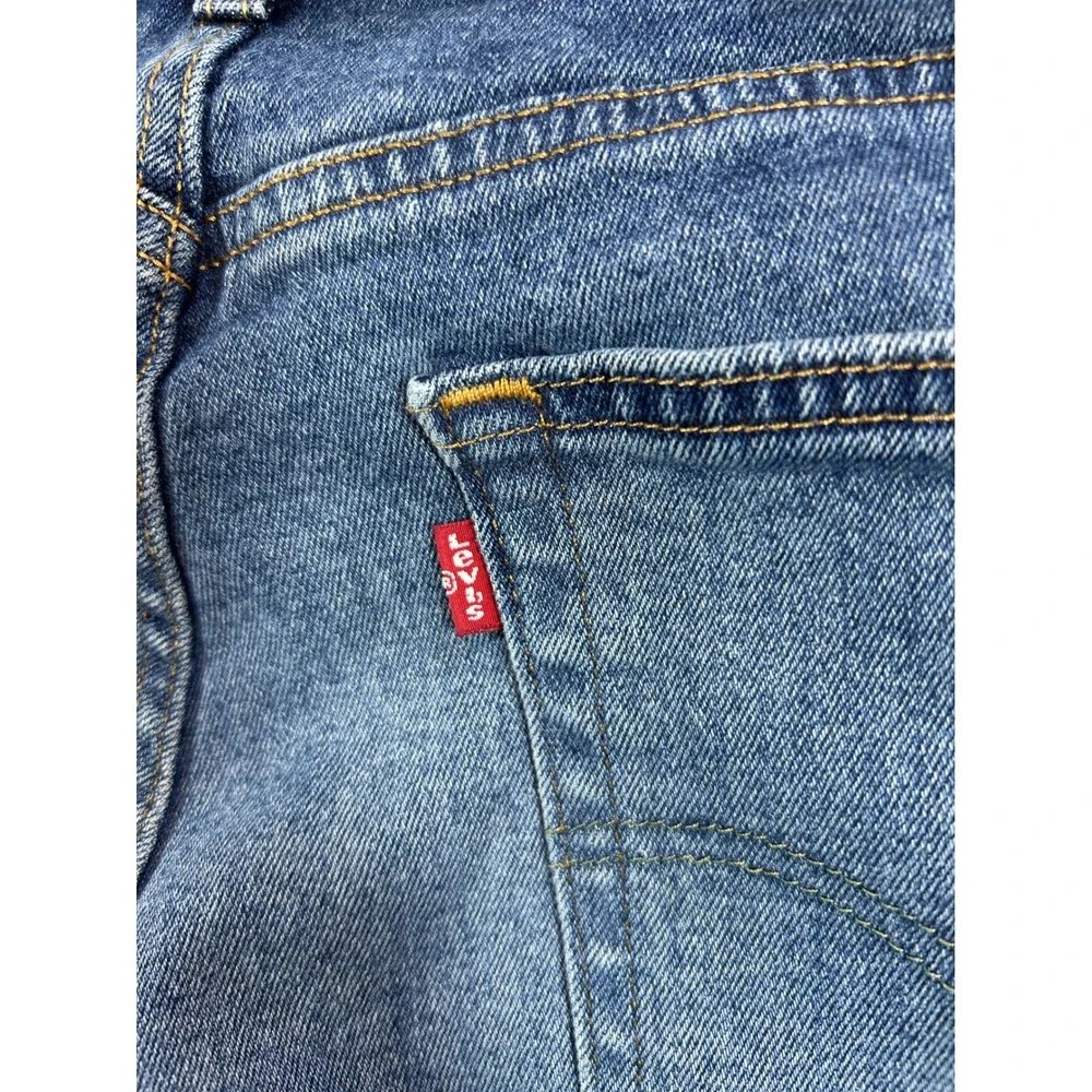 Levis levis 541